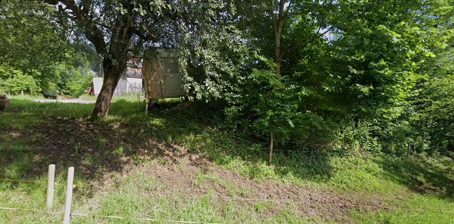 Bodenholzstrasse 72, 8342 Hinwil