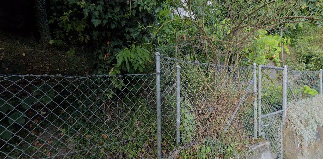 Taj Palace Indian cuisine, Seit 1995