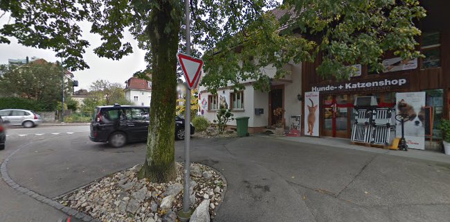 Comentarii opinii despre Bistro Take Away Dopodomani