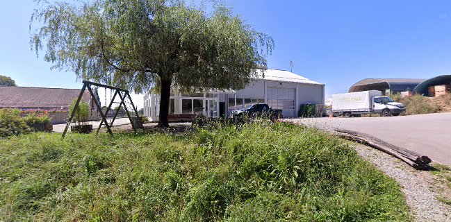 Denis + Samuel Pache