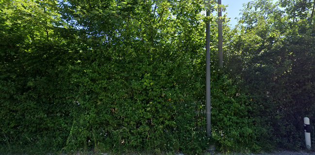 Fredy's AG - So schmeckt Brot