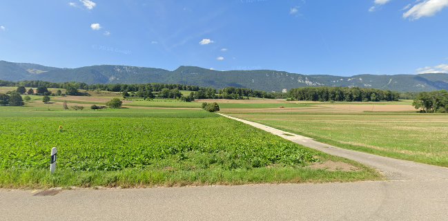 Opinii despre Blumenfeld Selzach în Selzach - Gastronomie und Hotellerie